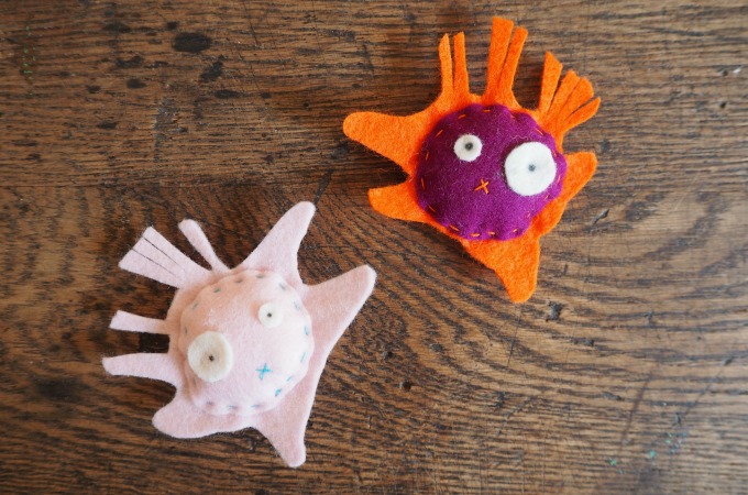 amoeba softies
