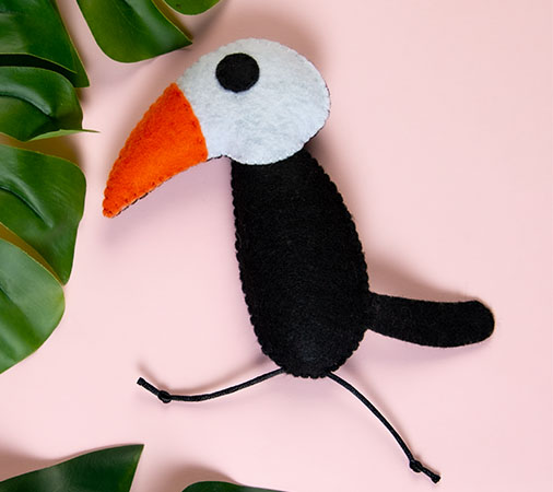 toucan softie